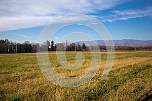 Empty field in yellow and green colors