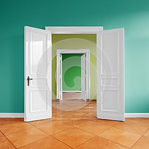 Empty flat with open door, connecting rooms after renovation photo