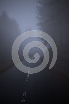 Empty foggy road at night