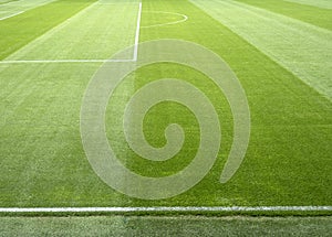 empty football field with natural grass before football match