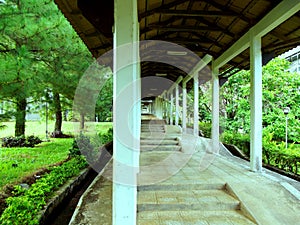 Empty footpath with amidst trees steps