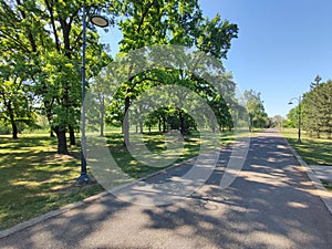 Empty footpath in the park surrounded by green trees.