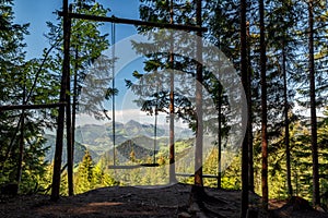 Empty forest swing with beautiful mountain view