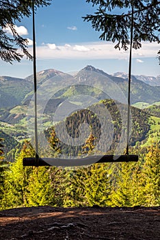 Empty forest swing with beautiful mountain view