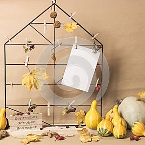 Empty frame with autumn composition