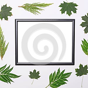 Empty frame with green leaves on white background - Flat lay mock up