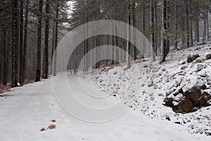 Empty frozen snowy forest road. dangerous rural path in winter. Troodos cyprus