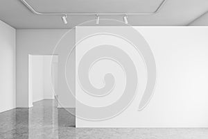 Empty gallery with white mock up wall