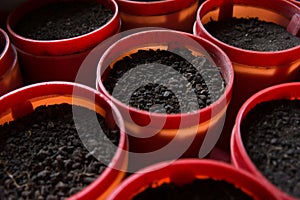 Empty Gardening Pots