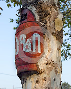 Empty gas cylinder ingrown into live tree