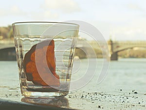 Empty glass of alcohol drink or cocktail have fresh orange slice one piece inside, have ashes of cigarette on wood table