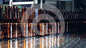 Empty glass bottles are moving along the conveyor belt