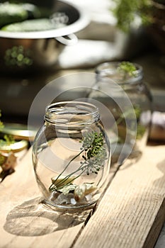 Empty glass jar and ingredients prepared for canning on wooden table