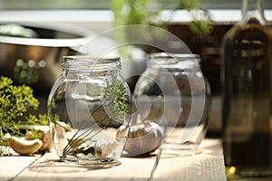 Empty glass jar and ingredients prepared for canning on wooden table. Space for text