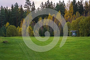 Empty golf course in autumn with green grass and autumn colors