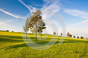 On a empty golf course