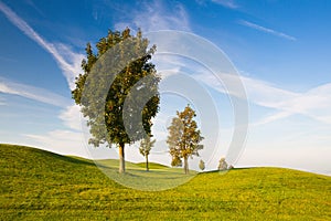 On a empty golf course