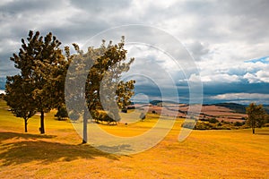 Empty golf course after rain