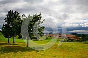 Empty golf course after rain