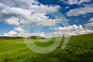 On a empty golf course in spring