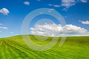 On a empty golf course in spring