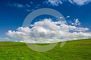 On a empty golf course in spring