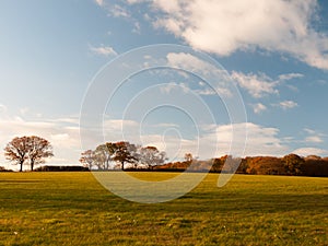 Empty grass land country trees blue sky clouds landscape plain