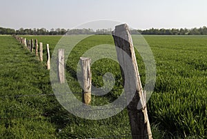 Empty grassy field with a barbwire fence