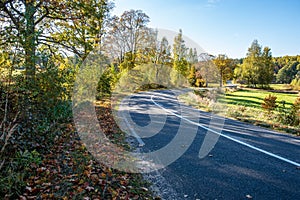 empty gravel road in autumn