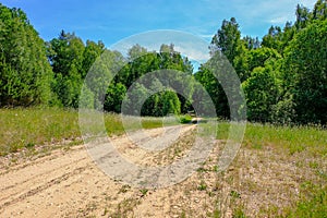 empty gravel road in the countryside in summer heat