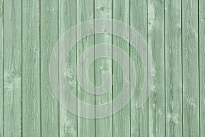 Empty green background with wood texture. A fence of smooth tinted boards. For sites and layouts