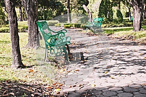 Empty green bench in the garden.