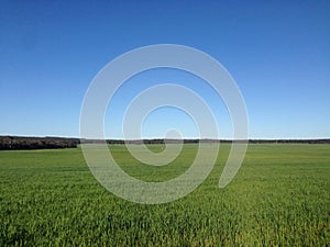 Empty green field with open blue sky in rural Australia