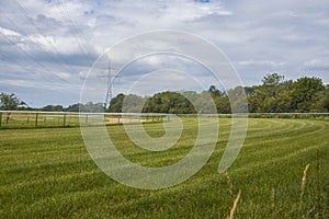 Empty green grass race track for horse racing on summer day. Summer landscape