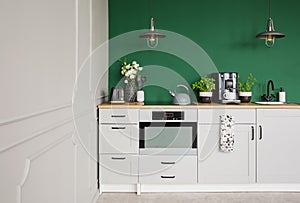 Empty green wall with copy space in elegant kitchen with white furniture,plants and coffee machine