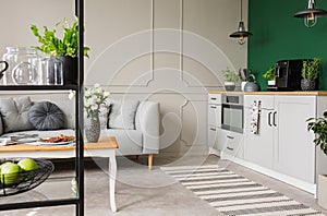 Empty green wall with copy space in elegant kitchen with white furniture,plants and coffee machine in stylish small apartment with