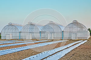 Empty greenhouse