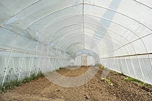 Empty greenhouse