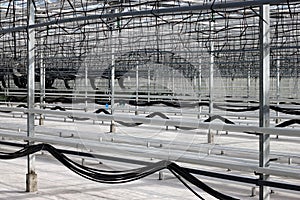 Empty greenhouse with a drip irrigation system