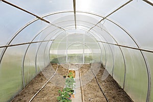 Empty greenhouse prepared for cultivation of plants