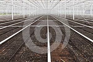 Empty greenhouse with soil prepared for cultivation of plants