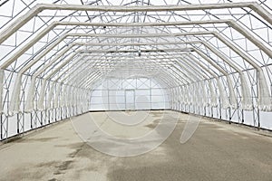 Empty greenhouse on a sunny day