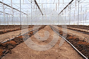 Empty greenhouse on a sunny day prepared for seed sowing.