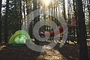 Empty hammock, camping tent and bicycle in forest on summer day