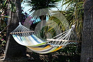 Empty hammock in garden with palm trees