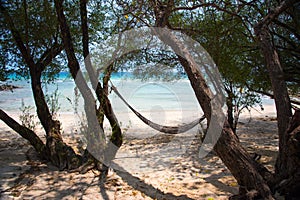 Empty hammock hang on trees on the beach at Koh Samed island.