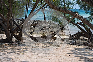 Empty hammock hang on trees on the beach at Koh Samed island.