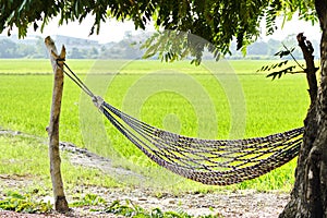 Empty hammock outdoors