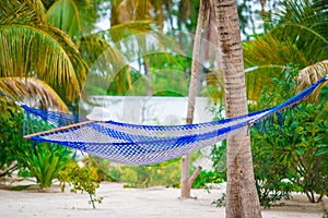 Empty hammock between palm trees on tropical beach