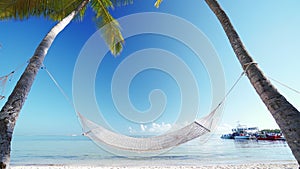 Empty hammock between palm trees on tropical beach by the sea